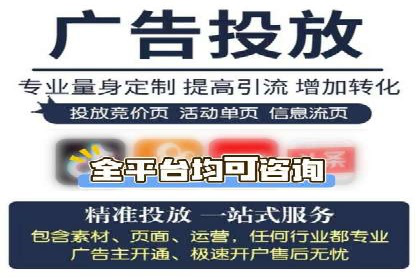 百度竞价推广案例：行业领军者成长故事